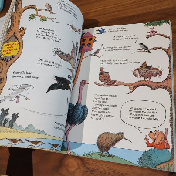 The Berenstain Bears Big Book of Science and Nature Dover Science - Picture 3 of 7